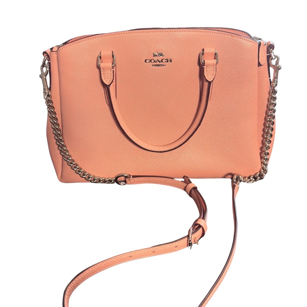 Coach Lillie Carryall
